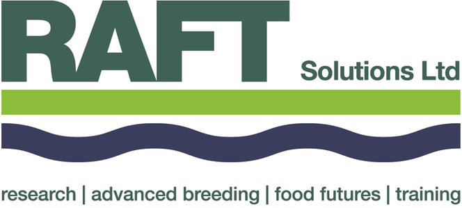 Raft Solutions Logo